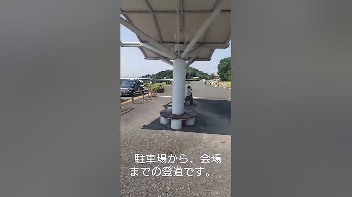 乃木坂46真夏の全国ツアー2025エコパアリーナ案内動画完全版