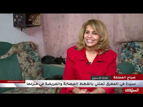 سيدة تأوي نحو 280 قطة مصابة ومريضة في منزلها