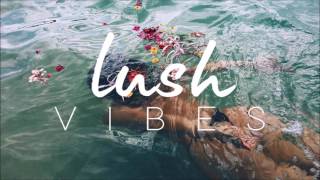 Vianni x Kranium - B.A.E Can (DJ Denz 2016 Mashup)