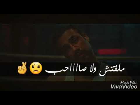فركت فركه قرش 