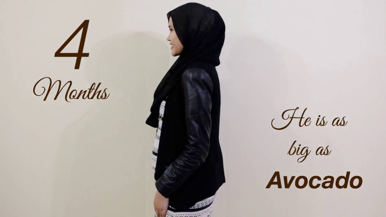 My Pregnancy Stopmotion