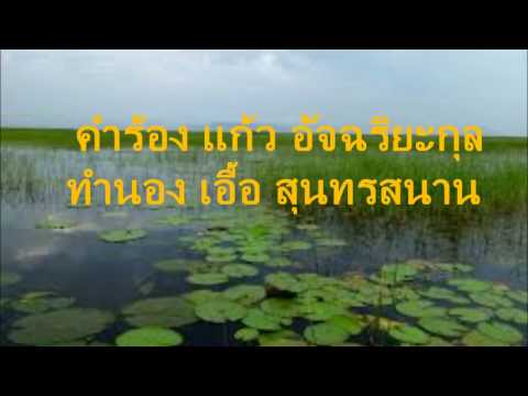 บึงน้ำรัก คุณภาวิณี ( เจ้น้อง ) &  คุณสมยศ