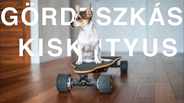 ÖRÖKBEFOGADTUNK EGY KISKUTYÁT! 🐶⚡