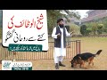 Sheikh ul Wazaif  Ki Kuttay Sy Rohani Guftagu || Ubqari Haweli Ahmed Pur Sharqia