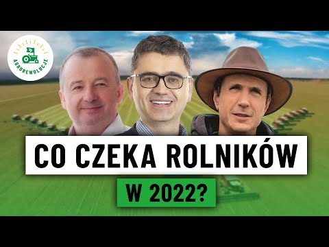 Wideo: Terminy składania dokumentów na uczelnie w 2022 r