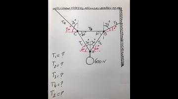 How to find the tension in each rope for an equilibrium system