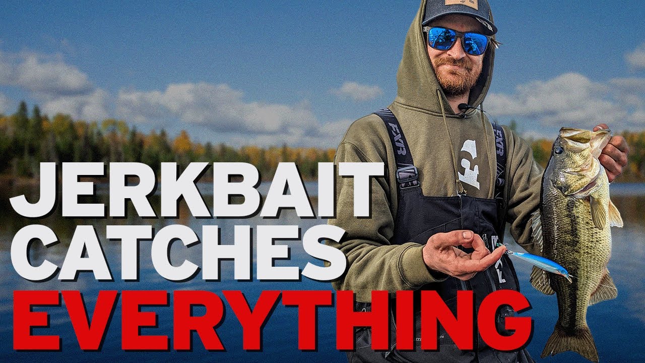 One of our Best Baits for Early Spring Largemouth Bass! YouTube