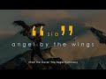 Sia - Angel by the wings (From Documentary The Eagle Huntress)