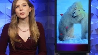 CNET Update - Google gets romantic with photos, fireplaces