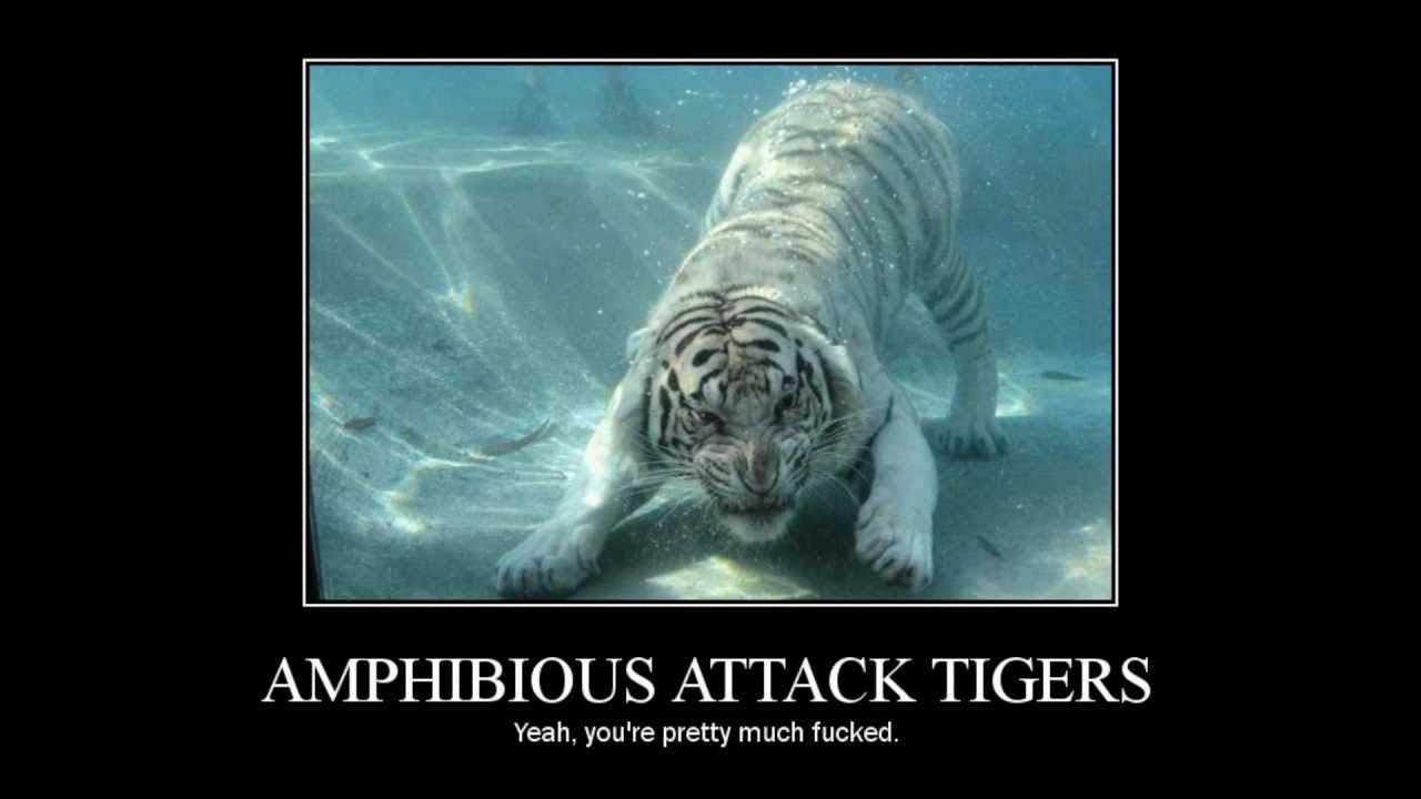 Amphibious Attack Tiger