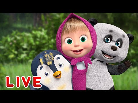 🔴 LIVE STREAM 🎬 Masha and the Bear 🐻👱‍♀️ Friends forever  💞🤗