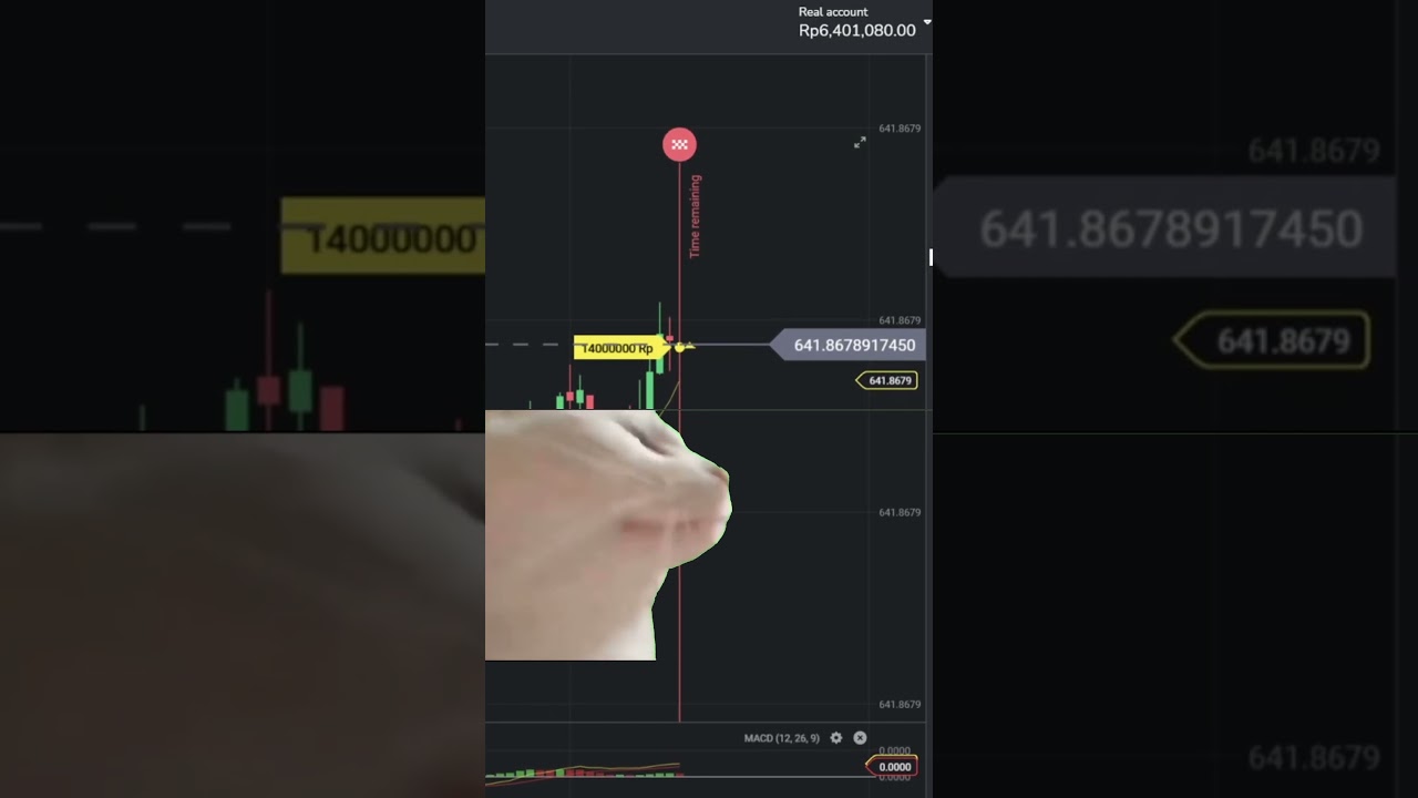 TRADING FOREX DI QUOTEX BROKER