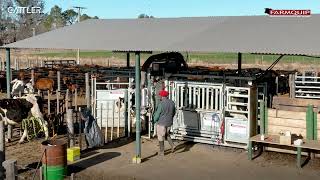 Farmquip + Cattler - Automatización de Brete y Aparte