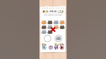 Level 332 brain test