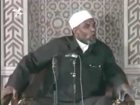 الشيخ الشعراوى ساعة يقول الله تعالى لا يشعرون ومرة لا يعلمون أو لا يعقلون فما الفرق بينهم