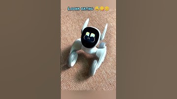 loona making us happy #loona #loonareaction #loonarobot #petrobot #airobot