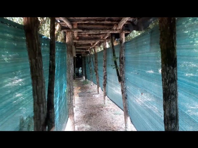 palombe.org - L'avenue des artilleurs reprend vie à la palombière
