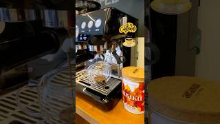 Premium Coffee Beans