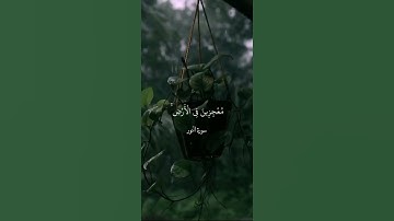 وَأَقِيمُوا الصَّلَاةَ وَآتُوا الزَّكَاةَ وَأَطِيعُوا الرَّسُولَ || سورة النور ||| محمد ايوب