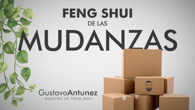 Cómo organizar cajas para una mudanza - Mudanzas en Zaragoza