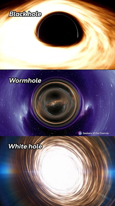 The Holes of the Universe: Black Hole vs Wormhole vs White Hole