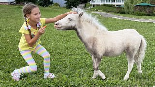 София на ферме кормит лошадей и маленьких пони