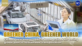 Chinese Nev Boom Praised For Paving Global Path To Sustainable Transportation