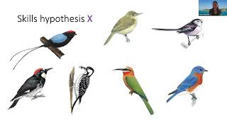 Potpourri 2 - Evolution 2023 (Virtual)