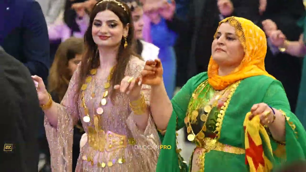 Nasir Hezexi  / Mahmut \u0026 Durcan / Part01 / Kurdische Hochzeit by #DilocanPro