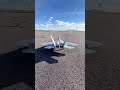 Raptor time