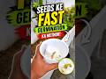 Seeds Jaldi Germinate Kaise Kare? | Sirf 2 Din Mein Result!