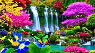 Download Lagu De Aanraking van Sereniteit – Een Rustige Pianoreis Door Gouden Herinneringen MP3