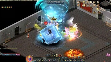 Dolphins Conquer Test Pirate VS Ninja