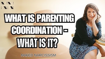 What is Parenting Coordination?/Child Custody