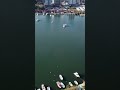 #trabzon #yomra #drone #video #karadeniz #ekinuzunlar #dam #dji #rec