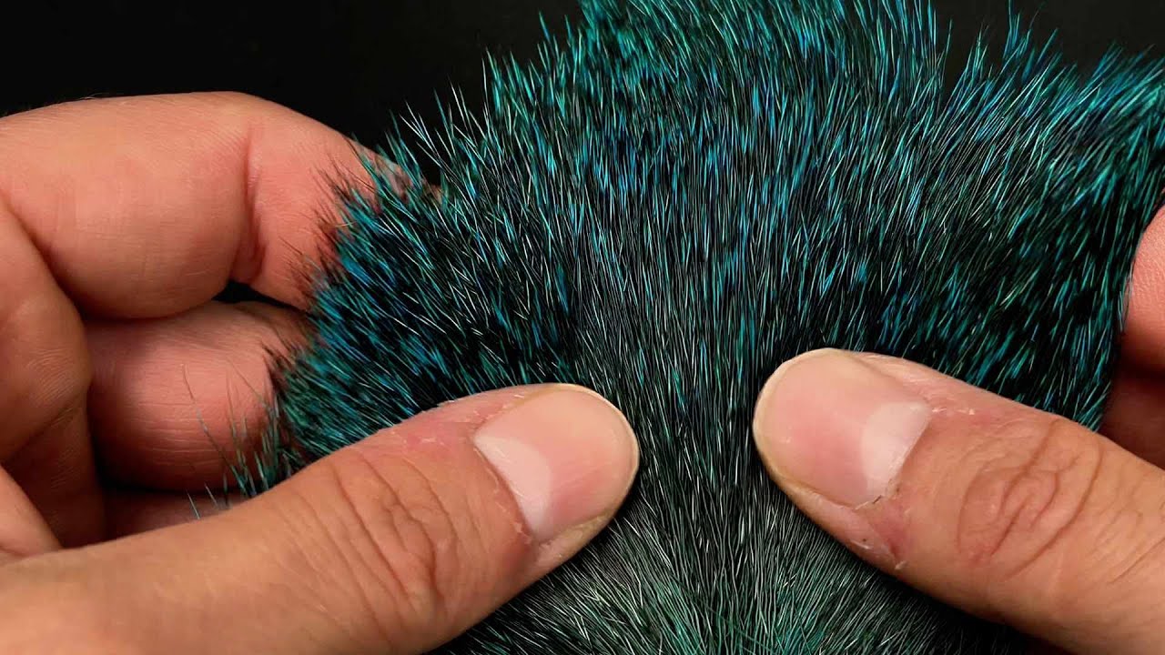 Les cheveux ombrés : une tendance pour tous les types de cheveux