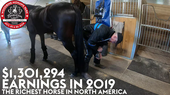 2019 Breeders Crown - Chris Ryder Works Hard For B...