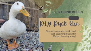 Easy Mess-Free Duck Enclosure |DIY Self-Cleaning Duck Run