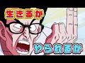 【ドカバト】回避全振り性能の極限シェン！！生きるか乙るか究極バトル！！【DokkanBattle】