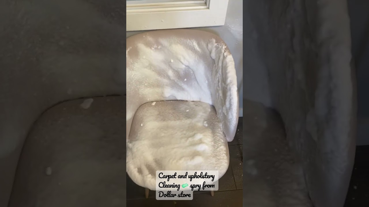 Dollarama upholstery and carpet cleaner shorts cleaningmotivation