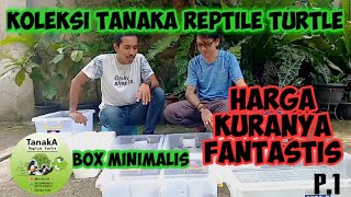 MAU KOLEKSI KURA KURA AIR ? WAJIB TONTON INI feat TANAKA REPTILE TURTLE (part1)