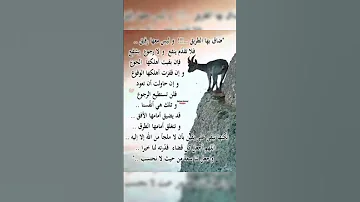 ولاهي هاذي العبارة اثرت فيا جدآ 