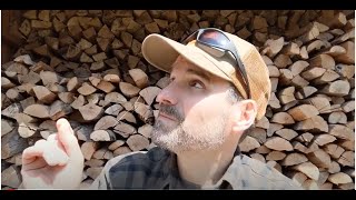 Downy Hairy Woodpeckers - Learn A Bird - Episode