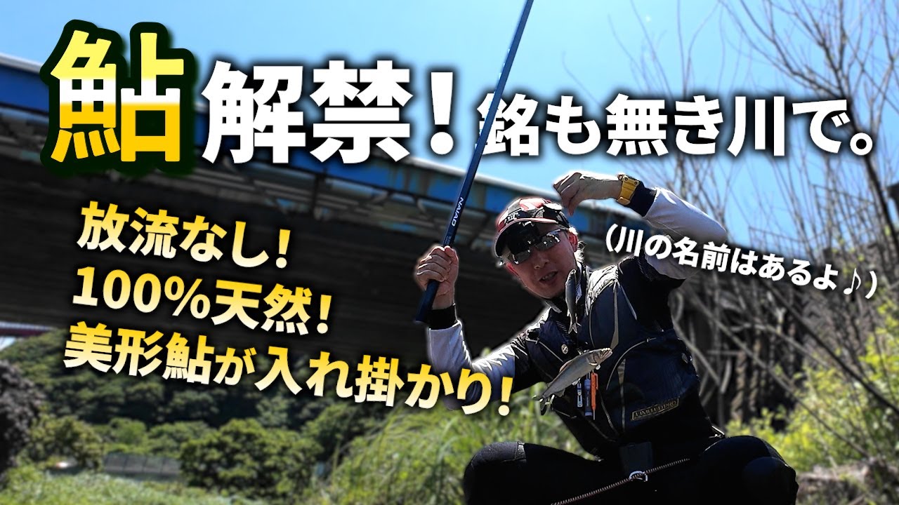 鮎釣り2025解禁！県内最速！？で美鮎の入れ掛かりを堪能してきました
