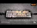 Miniature de la vidéo de la chanson Accelerate (Chris Schweizer Big Room Mix)