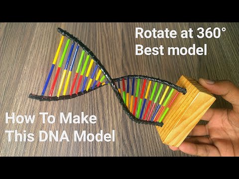 How to make DNA model very easy at home | 3d rotate DNA model ideas for science project DIY