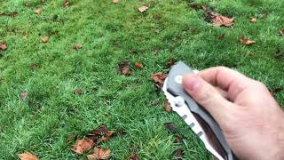 Dicoria Praetorian 2 knife with custom pivot