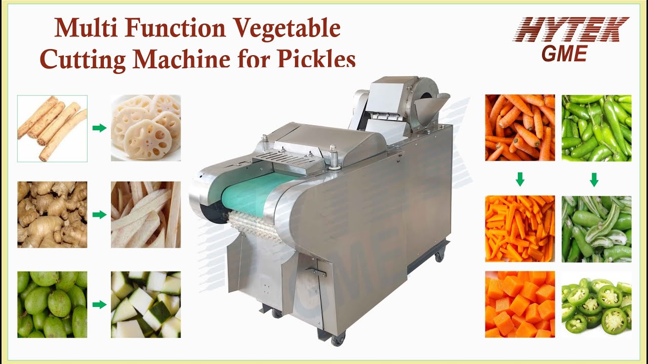 Multi Function Vegetable Cutting Machine - HYTEK GME