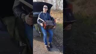 ГУСИНЫЙ ПЕРЕЛЕТ Н.Емелин исполняет Тамбовский гармонист