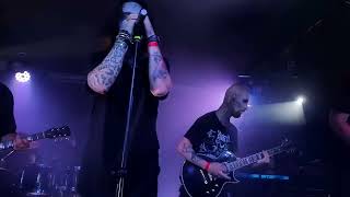 Above the Stars - Witch of the Wild